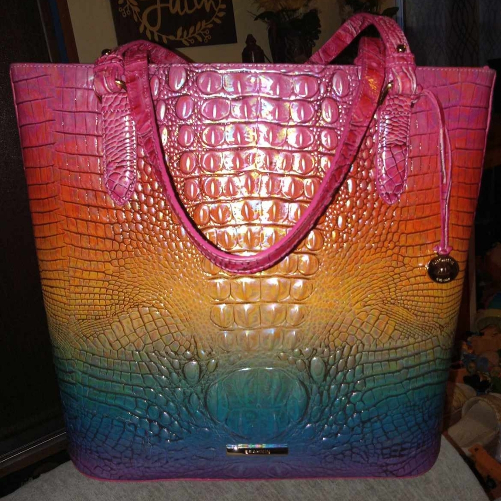 Brahmin Ella Horizon!